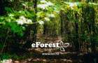 Profita acum de oferta de Pa?te! Langa padure. zona verde - eForest - 8