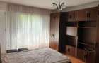 Apartament cu o camera in zona Cetatii - 1