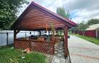 Teren Construcții intravilan de 2000 mp, în Zizin - 17