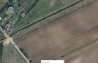 Teren intravilan de 3200 mp, în Dragomirești - 3