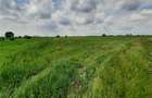Vanzare teren intravilan 7.500 mp - 2