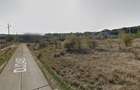 Teren pe platou Bucium, construibil, 4000mp - 3
