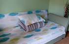 B-dul Ferdinand,Iancului,Metrou,DECOMANDAT,Amenajat,centrala,3balcoane - 14