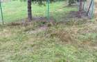 Teren intravilan 900 mp de vanzare Balcesti, langa Belis, Cluj | La cateva minute de mers pe jos de Varful Pipas - 5
