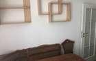 Inchiriez ap. 2 camere decomandat Dr. Taberei - 7