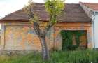 Casa in Moldova Veche - 1