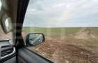 Teren pentru blocuri, intravilan, 946 mp, Giarmata Vii - 1