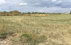 Teren intravilan - 500 mp - Zona P + 5 - Str. Miraslau / Str. Scolii - 2