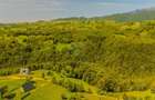 Teren extravilan de 2000 mp, în Peștera - 4