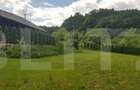Casă cu 5 camere cu Teren 3000 Mp în Făget - 11 Casă cu 5 camere cu Teren 3000 Mp în Făget - 11