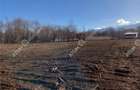 Teren Construcții de 900 mp, în Central - 1