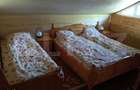 Cabana munte, 60 mp, zona iesire Praid - 4