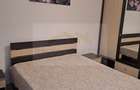 Inchiriere Vila Drragomiresti Deal - 10
