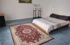 Ultracentral . Inchiriez apartament cu 2 camere Timisoara - 7