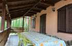 Cabana de vis in inima naturii Valea Bratcutei, jud. Bihor - 17
