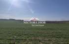NECTORA IMOB-Teren Intravilan 537 mp, Zona Solay, 250 m de asfalt - 5