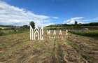 Teren intravilan 1750 mp | Hamba, Sibiu | utilita?i pe teren - 1