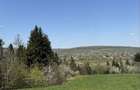 Vand teren pentru cabana - 1