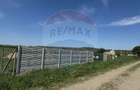 Teren de vanzare 8.700 mp in Livada comuna Iclod - 5