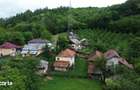 Case Parintesti, Com. Vulturesti, 3600 mp, zona superba - 11