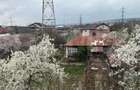 Casa pe strada Calea Bucuresti, teren de 1442 mp - 5