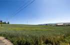 Teren intravilan de 1370 mp, în Măieruș - 4