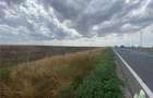 Teren Construcții intravilan de 24250 mp, în Mihail Kogălniceanu - 1
