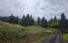 TEREN DE VANZARE COLIBITA _4600 EUR AR - 6