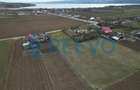 Teren de vanzare, Sat Bazga, Com. Horge?ti, Bacau - 5
