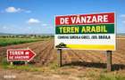 Teren arabil Surdila Greci, Braila, 5 hectare - 1