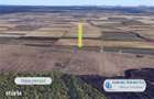 Antony Estate | Oportunitate de investitie - Teren Cihei, langa Padure - 5