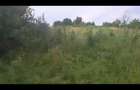Teren agricol, în Vest - 6