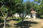 Vand 700 mp (teren intravilan+ casa), Leu , jud Dolj livada pomi - 6