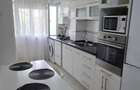 Apartament 2 camere de inchiriat- Ostroveni (zona Maidan) - 1