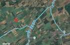 Cota 3/12 Teren extravilan Loc. Fibis, jud. Timis - 1
