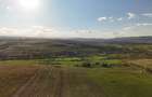 Teren agricol intravilan de 11510 mp, în Sopor - 8