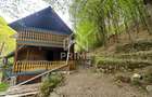 Cabana 5 camere, 75 mp| teren 900 mp| zona Iezer Ighiel - 6