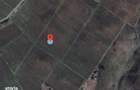 Vie Vanzare Podgoria Dealu-Mare, Boldesti-Scaeni, Prahova - 15,39 ha - 5
