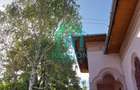 Vila cu teren intravilan 4177mp, Mehedinti Burila Mare - 5