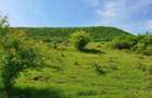 Teren extravilan superb în satul Ciumăfaia, comuna Borșa, Cluj. - 3