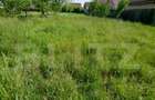 Teren intravilan de 893 mp, în Brestei - 1