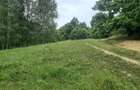 Terem de vanzare Setea Potoc 13.000 m2 - 3