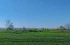 Vand teren intravilan 4000MP cu dechidere la Delta Neajlovu - 1