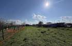 Teren intravilan agricol 5.000 mp de vanzare Iepure?ti, Giurgiu - 4