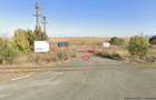 2 ha teren de vanzare in Vladimirescu- Cicir - 4