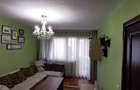 Apartament cu 3 camere decomandat în Palat - 8