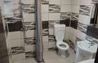 Inchiriez Garsoniera 1350 lei si apartament 2000 lei in Manolache Il - 8