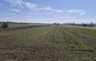 Trestieni - Ulmi, vanzare teren 1.663mp, intravilan - 13