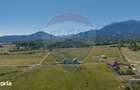 Teren Tohanu Nou, intrare Sohodol, 4800mp - 12