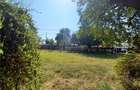 Casă cu 3 camere cu Teren 4658 Mp în Ghimpați - 10